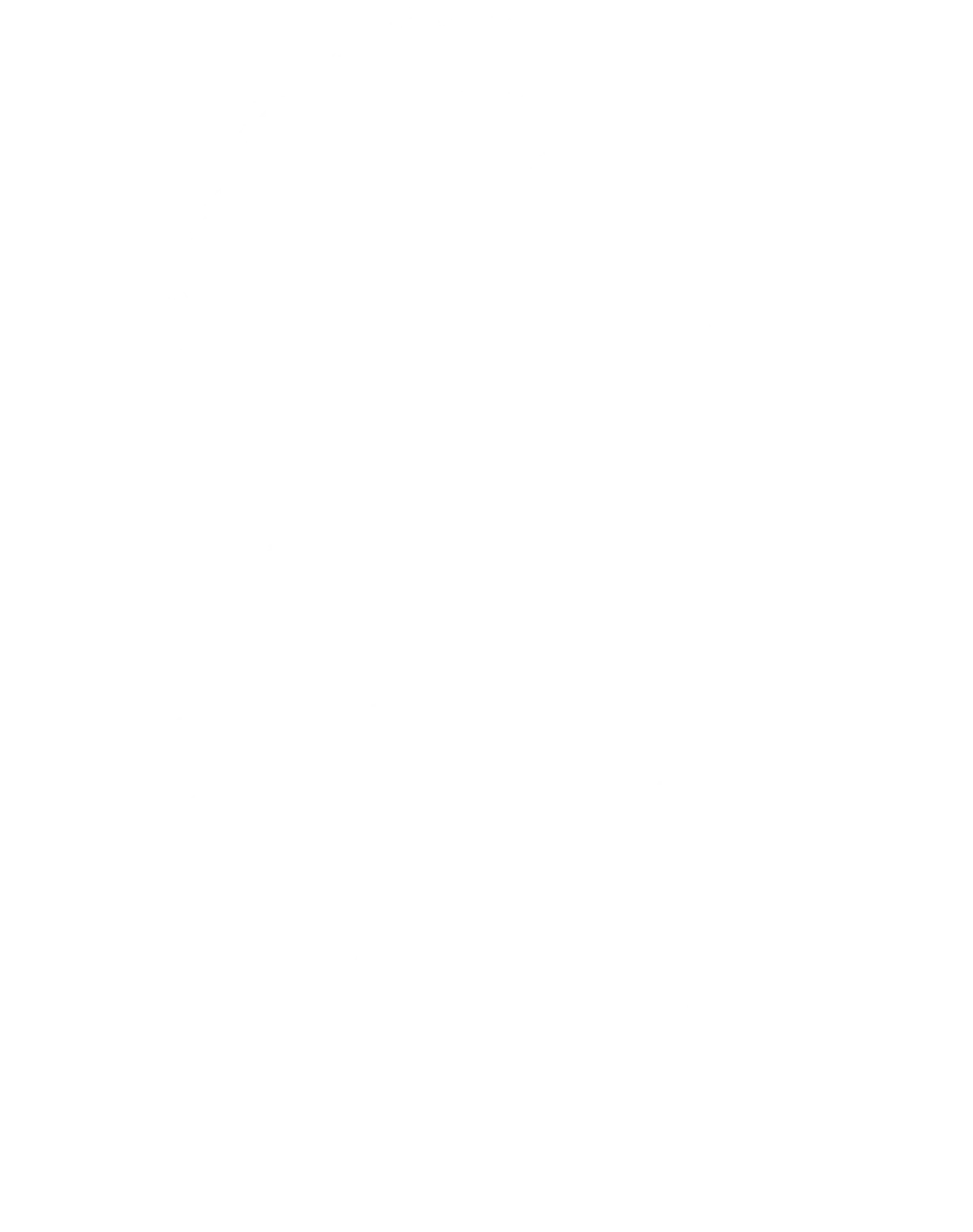 Forbidden Forest